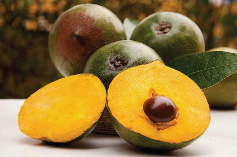 lucuma
