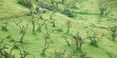 Lima hike Lomas de Lachay