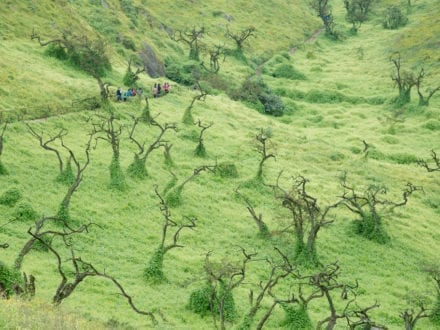 Lima hike Lomas de Lachay