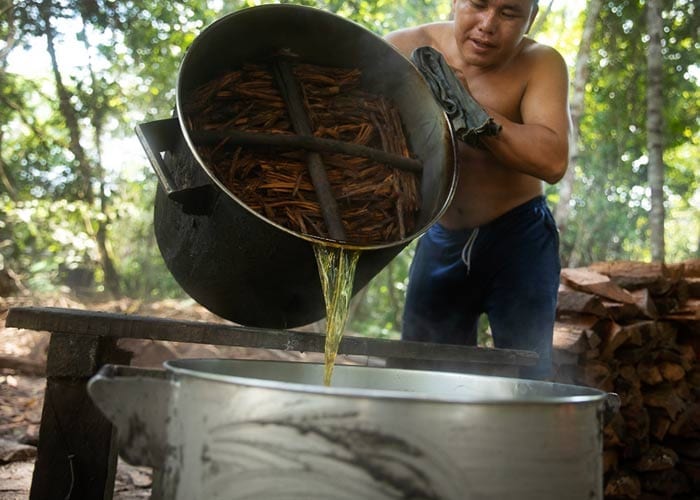 Shaman Making Ayahuasca 