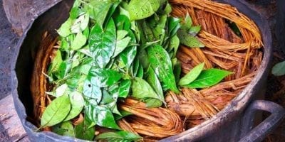 Ayahuasca Ceremony Peru