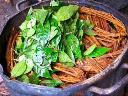 Ayahuasca Ceremony Peru