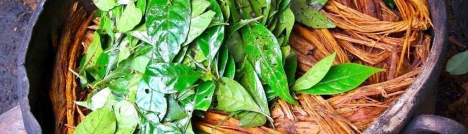 Ayahuasca Ceremony Peru