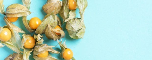 The Peruvian Aguaymanto