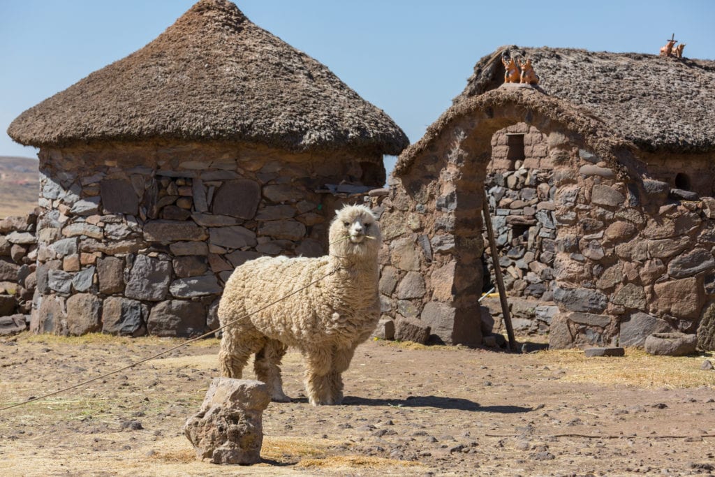 Peru Tour Packages
