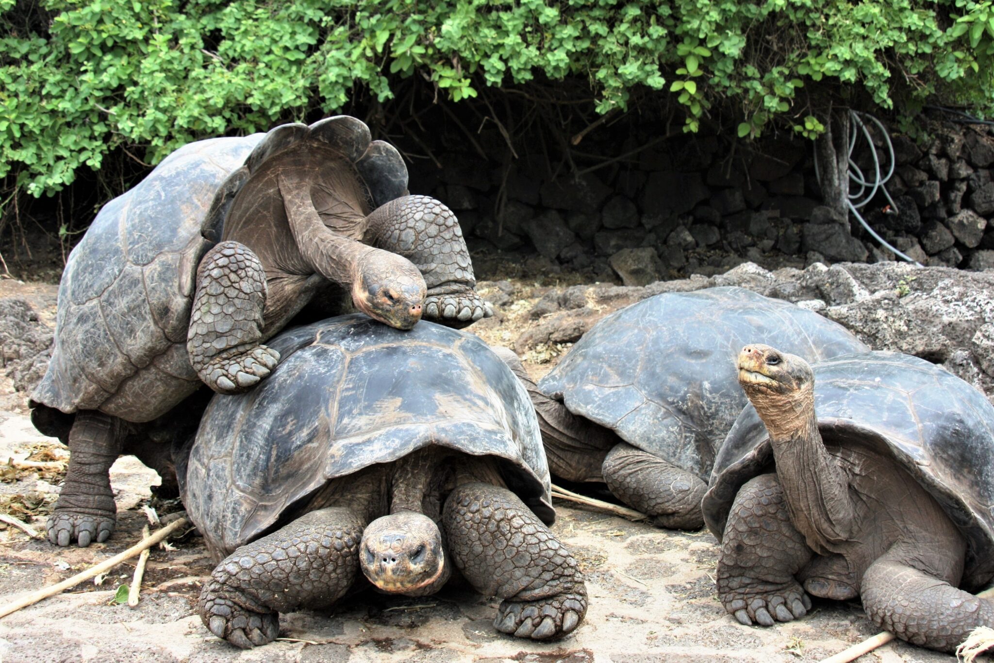Galapagos National Park 