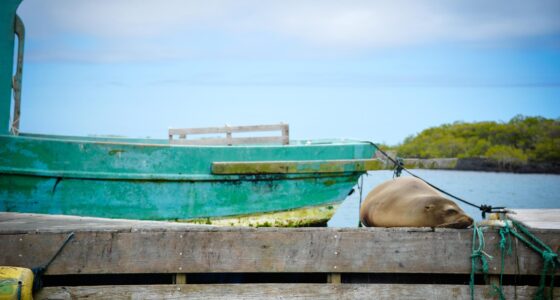 Isabela Island, Galapagos , Ecuador