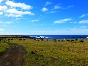 Easter Island Exploration